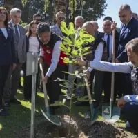 Güncel