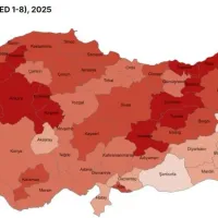 Eğitim