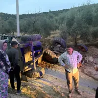 Asayiş