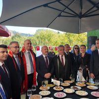 Aydın