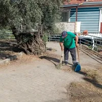 Aydın