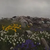 Siyaset