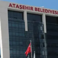 Siyaset
