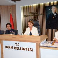 Aydın