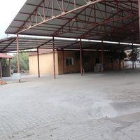 Aydın
