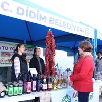 Aydın