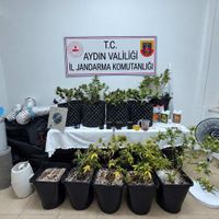 Asayiş
