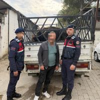 Asayiş