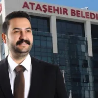 Siyaset