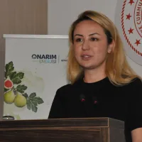Aydın