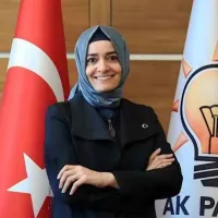 Siyaset