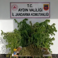 Asayiş