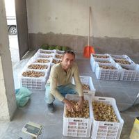Aydın