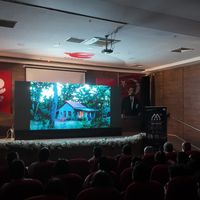 Kültür-Sanat
