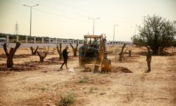 ADÜ'den Örnek Uygulama