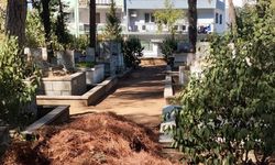 Efeler Belediyesi'nden Tellidede Mezarlığı'na bakım