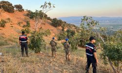Köşk’te jandarmadan incir nöbeti