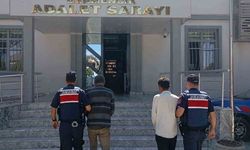 Aydın’da İncir Hırsızlığı