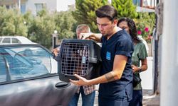 Ücrestiz Kedi Kısırlaştırma Merkezi açıldı