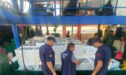 Didim ve Söke’de su ürünleri denetimi