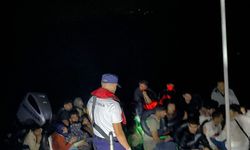 Didim’de  göçmen operasyonu