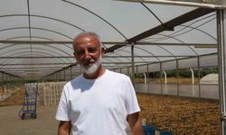 İncir üreticisi tek çatı altında toplanıyor