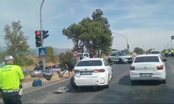 Karayolu incir tarlasına döndü