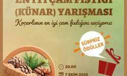 Koçarlı’da çam fıstığının en iyisi seçilecek