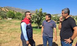 Köşk’te tarımsal zararlılarla mücadele