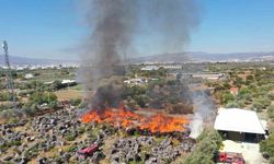 Palet fabrikasında yangın