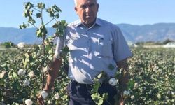 Başkan Tanyeri: 40 liranın altı pamuk üreticisinin sonu olur