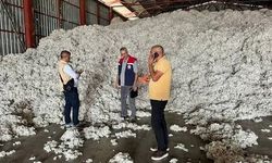 Söke’de Kütlü Pamuklarda yeni sezon çalışmaları başladı