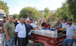 TARİŞ alımları erken kapattı