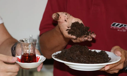 Çayın Posasını Sakın Atmayın!