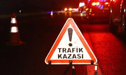 Otomobil tarlaya devrildi: 2 yaralı