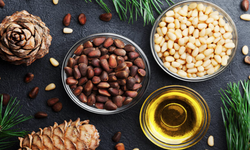 Koçarlı’nın en iyi Çam Fıstığı seçilecek