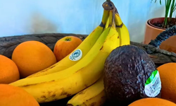 Muzu Böyle Saklayın!