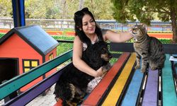 Kuşadası'nda 195 Can Dosta Yeni Yuva