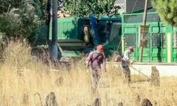 Efeler Belediyesi’nden Mezarlıklara Özenli Bakım