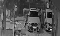Lüks araçlardan ayna ve amblem hırsızlığı