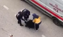 Bir kadın yolun ortasına yatıp sinir krizi geçirdi