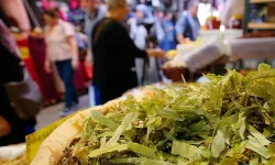 Aktarlara mevsim geçişlerinde ilgi arttı