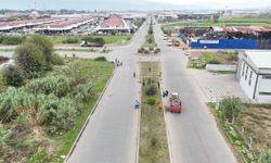 Nazilli Ticaret Odası’ndan incir için birlik çağrısı
