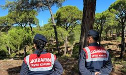 Bu çiçeği koparana 557 bin TL ceza