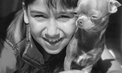 CHP’li Başkan Yardımcısı’nın çarptığı çocuk hayatını kaybetti