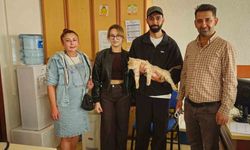 Çip sayesinde kayıp kedi kısa sürede sahibine kavuştu