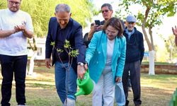 Didim ile Laubach arasındaki dostluk, meşeyle taçlandı