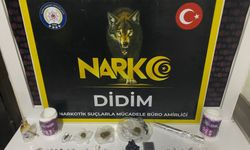 Didim’de uyuşturucu operasyonu