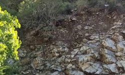 Fethiye’de 43’ü çocuk 65 düzensiz göçmen ve 4 göçmen kaçakçısı yakalandı