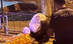 Bıçaklı dehşette cinayet şüphelisi tutuklandı